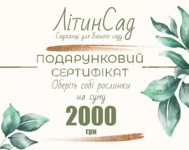 Подарунковий сертифікат на 2000грн