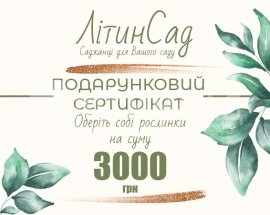 Подарунковий сертифікат на 3000грн