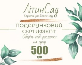 Подарунковий сертифікат на 500грн