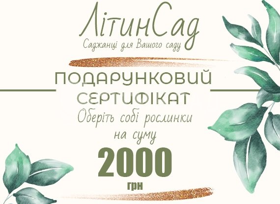 Подарунковий сертифікат на 2000грн