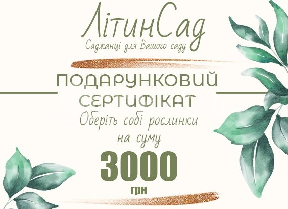 Подарунковий сертифікат на 3000грн