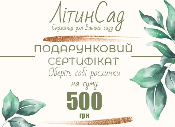 Подарунковий сертифікат на 500грн