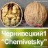 Волоський горіх "Чернівецький-1" *Сіянець* (Трьохрічний)