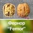 Волоський горіх Фернор "Fernor" *Щеплений*